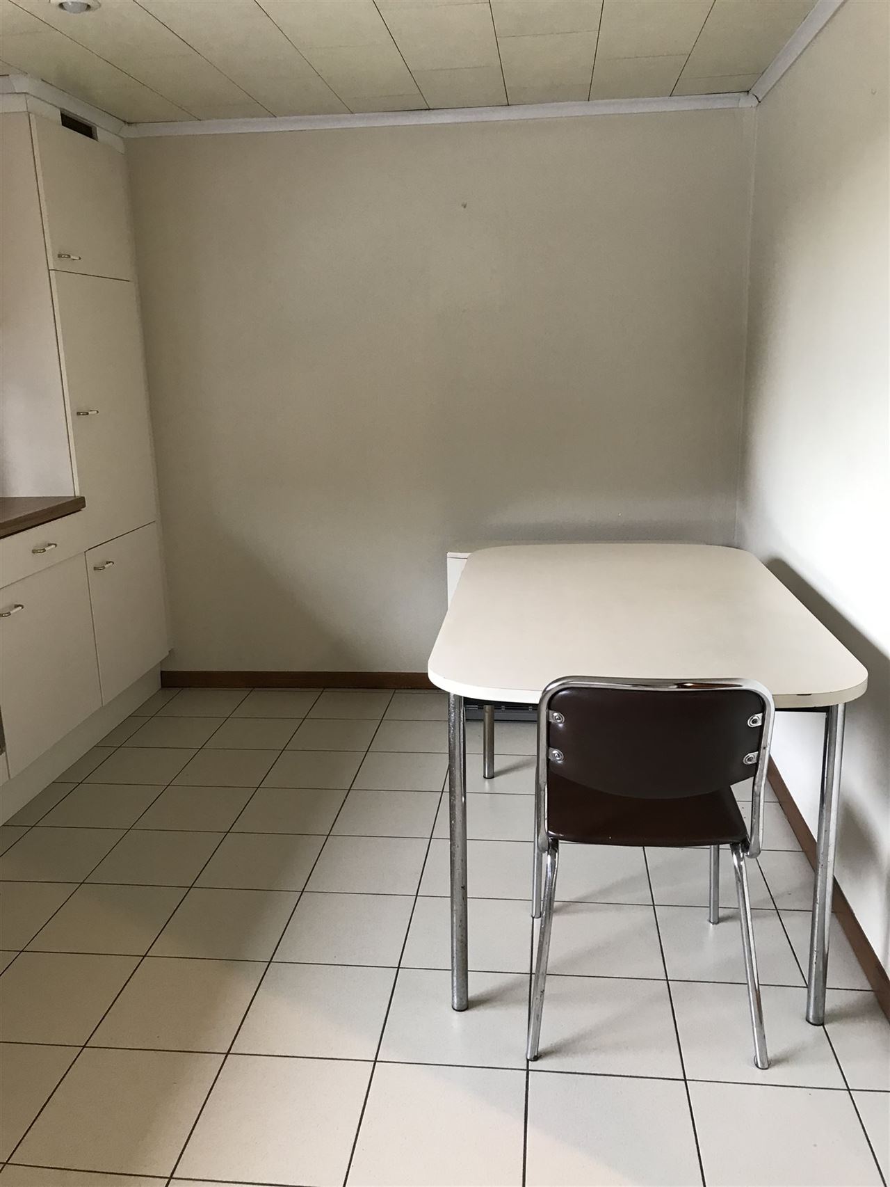 Ruime woonst met handelszaak