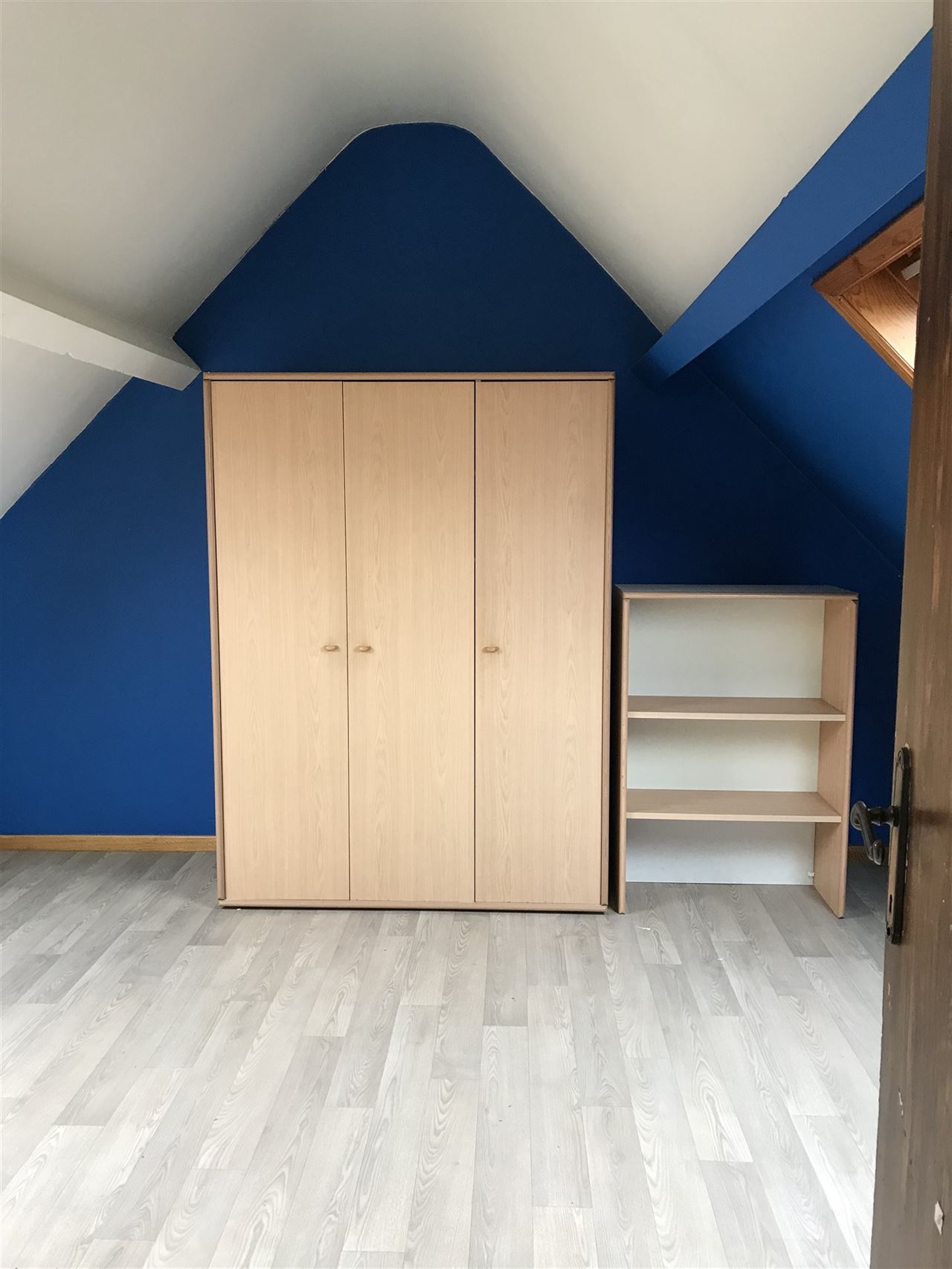 Ruime woonst met handelszaak