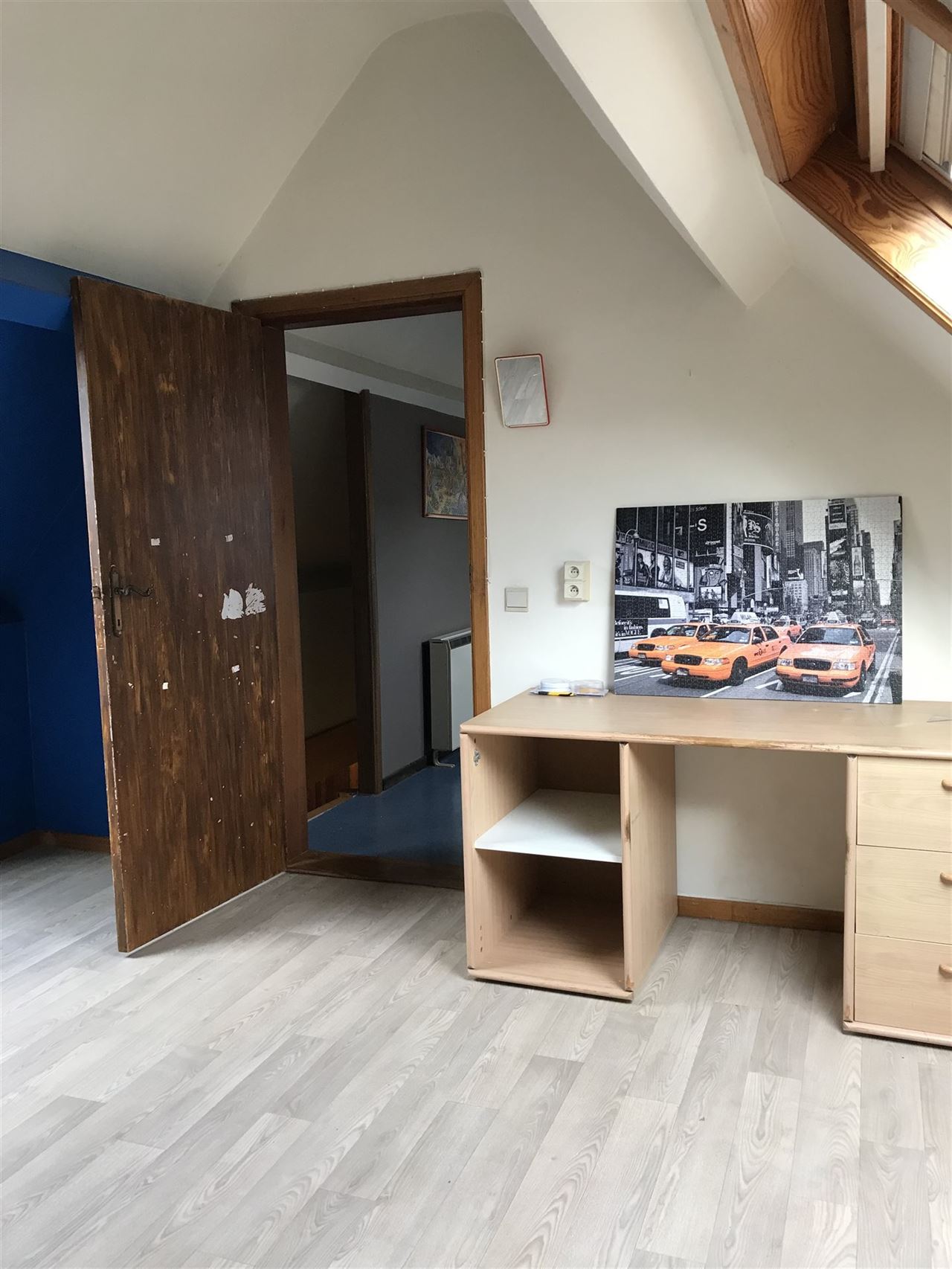 Ruime woonst met handelszaak