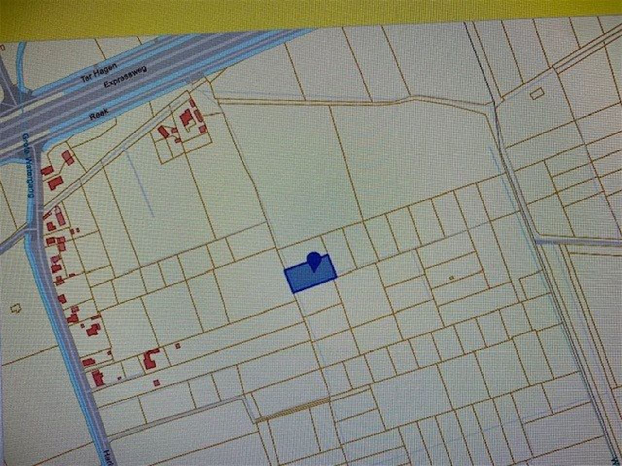 Een perceel sparrenbos te Moerbeke-Waas ideaal als speelbos.