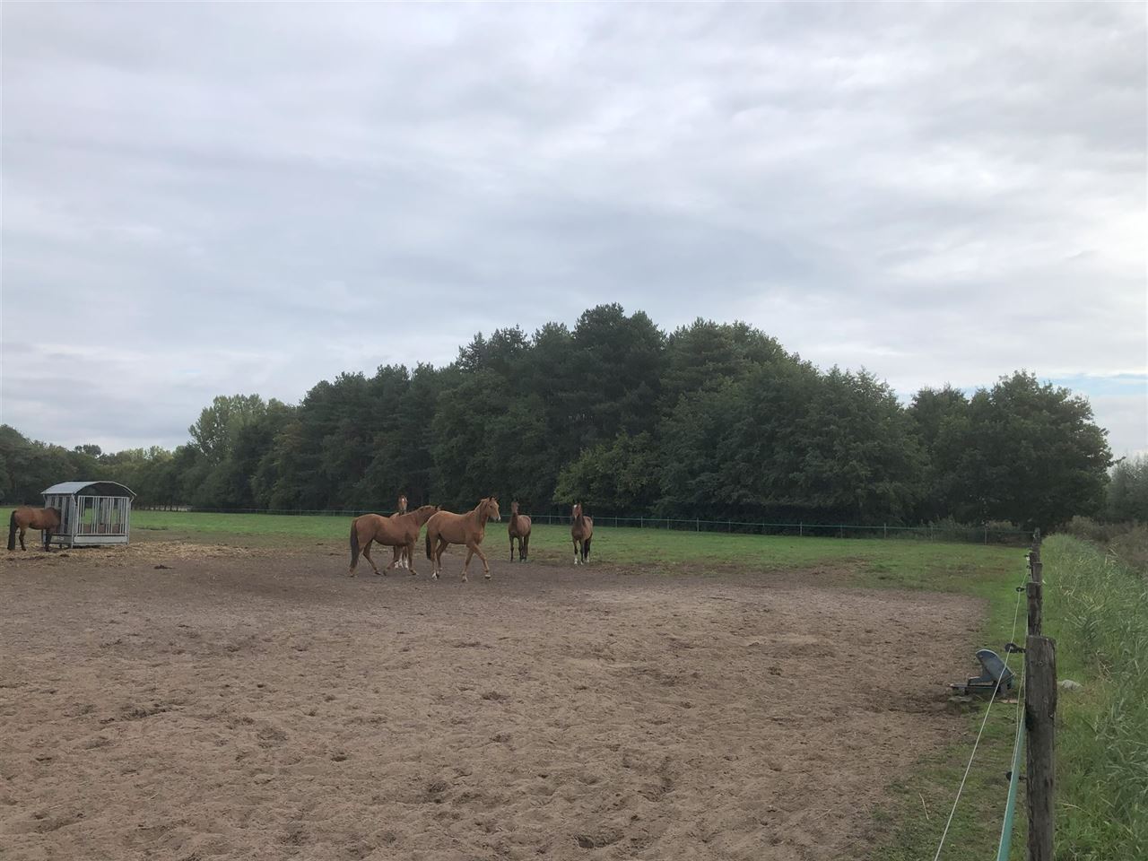 2 percelen grond te 9180 MOERBEKE-WAAS, samen 15.901m²