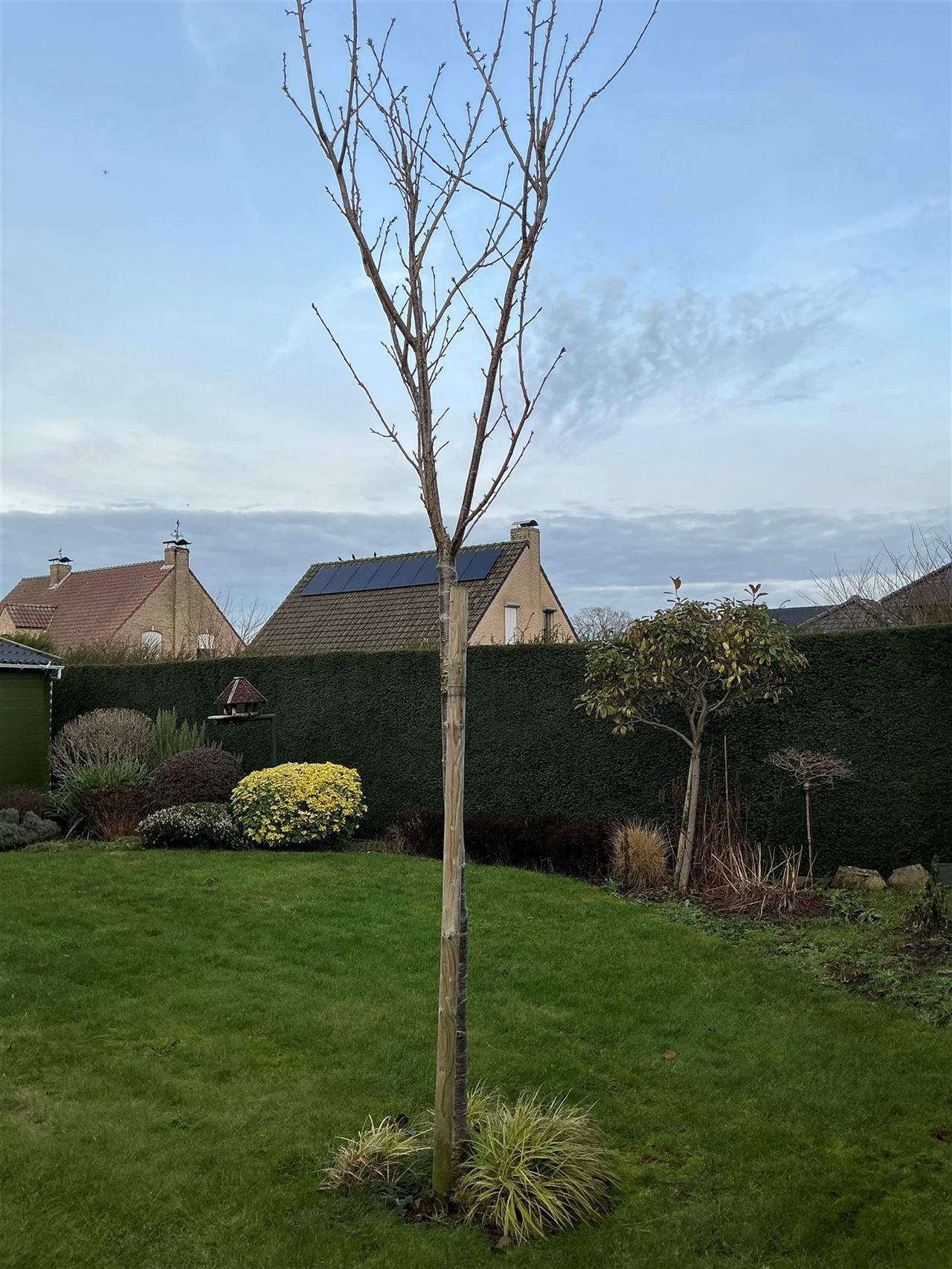 Stijlvolle villa met 4 slaapkamers in rustige buurt.