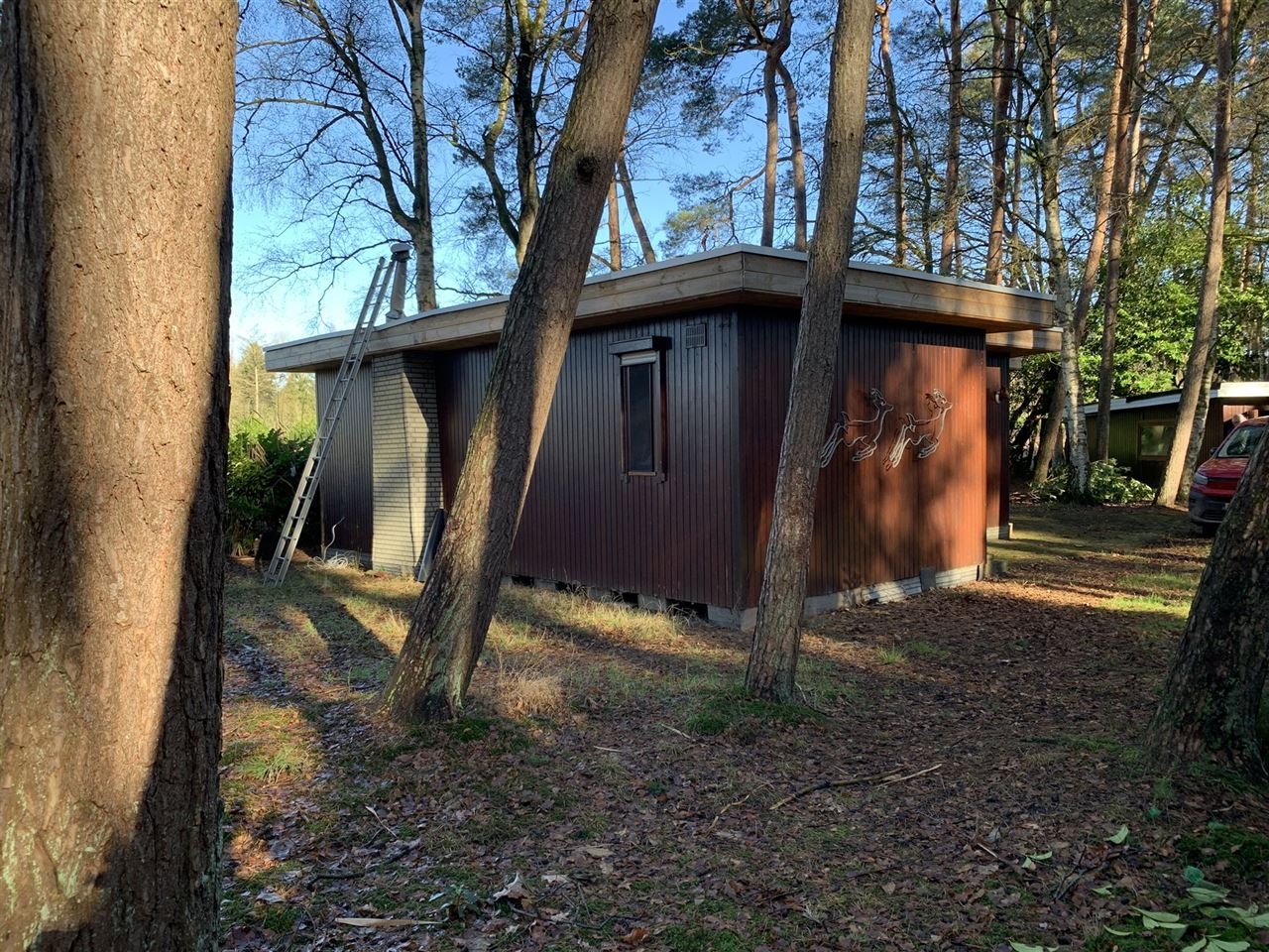 Chalet in het bos in recreatiegebied - 2de verblijf