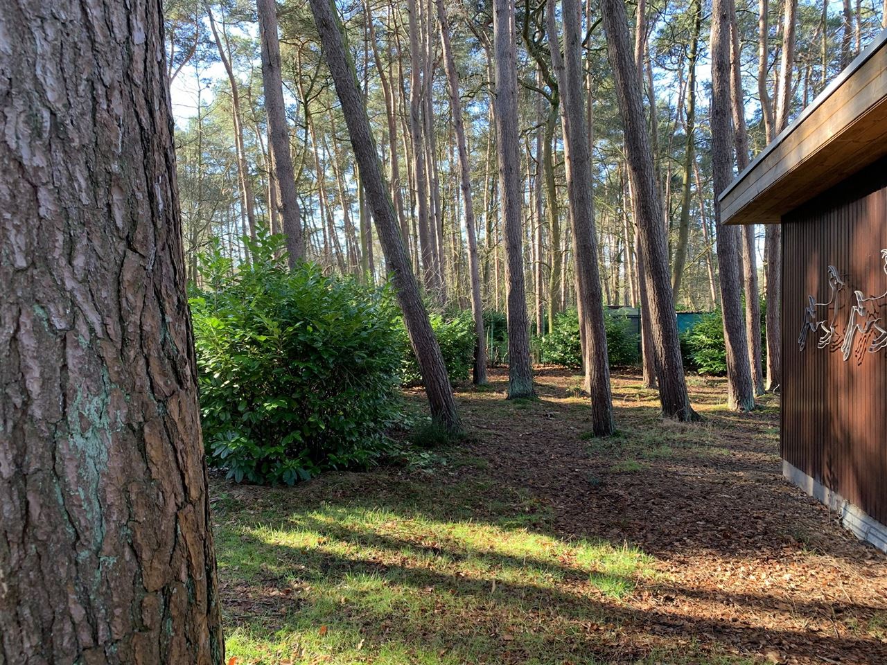 Chalet in het bos in recreatiegebied - 2de verblijf