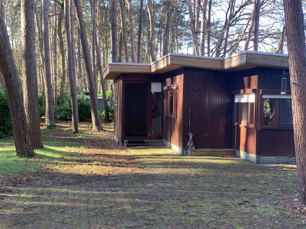 Chalet in het bos in recreatiegebied - 2de verblijf