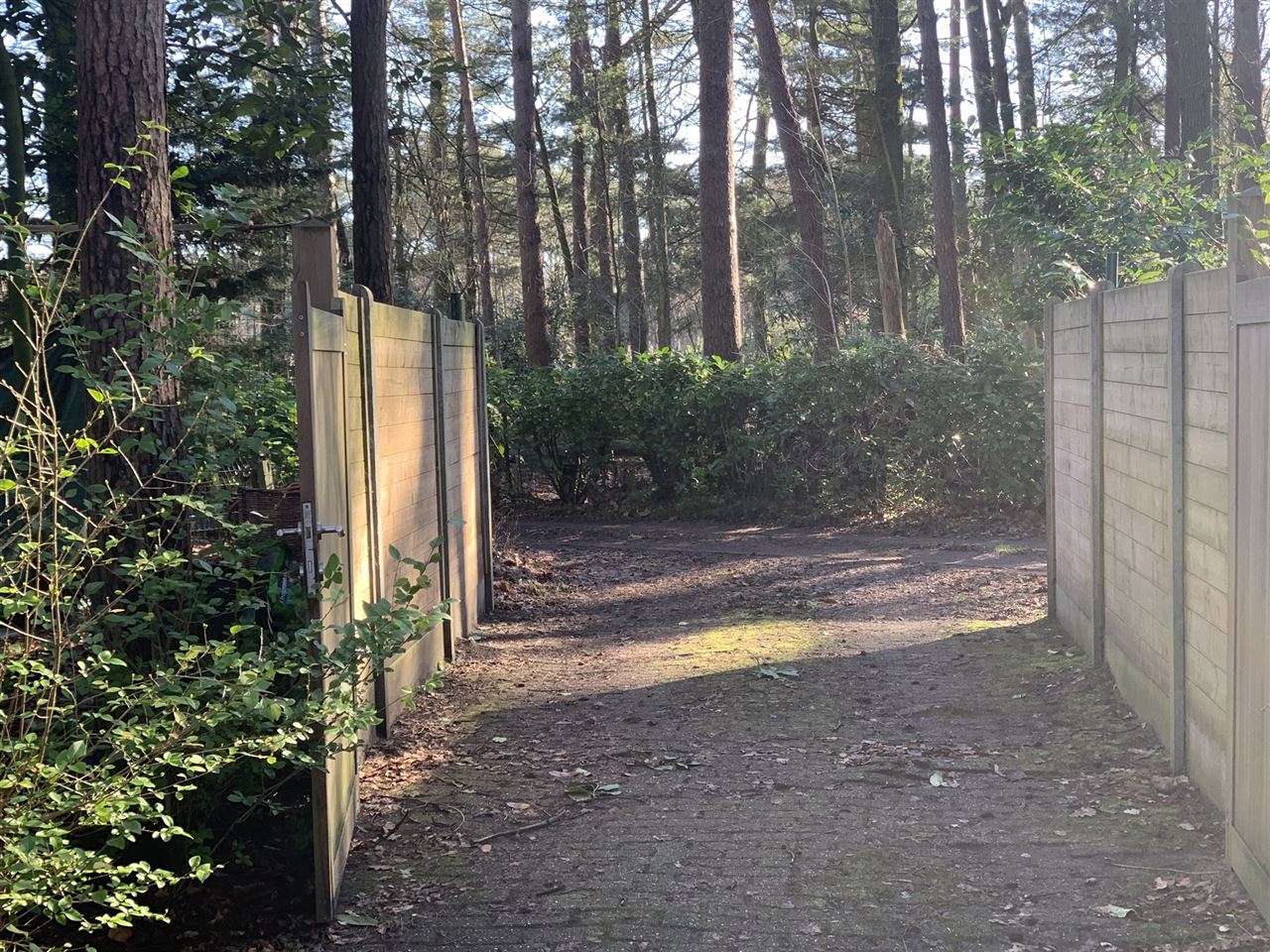 Chalet in het bos in recreatiegebied - 2de verblijf