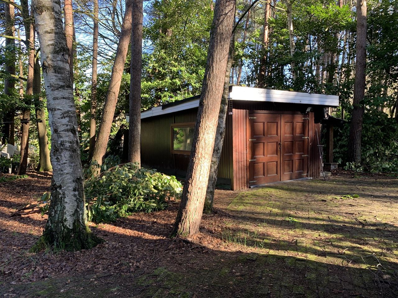 Chalet in het bos in recreatiegebied - 2de verblijf