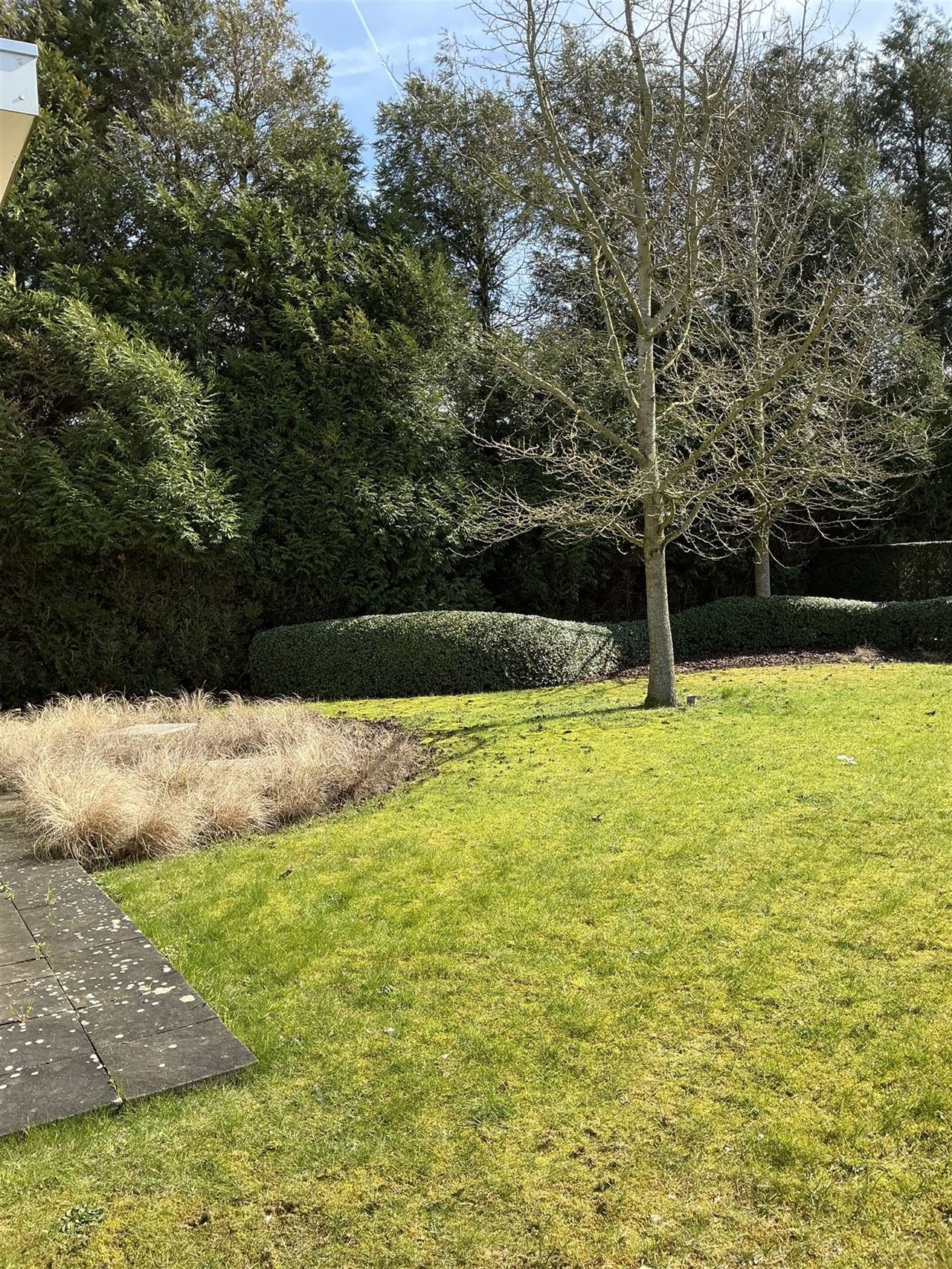 Ruime, iets oudere, bungalow op een perceel van 2426m²