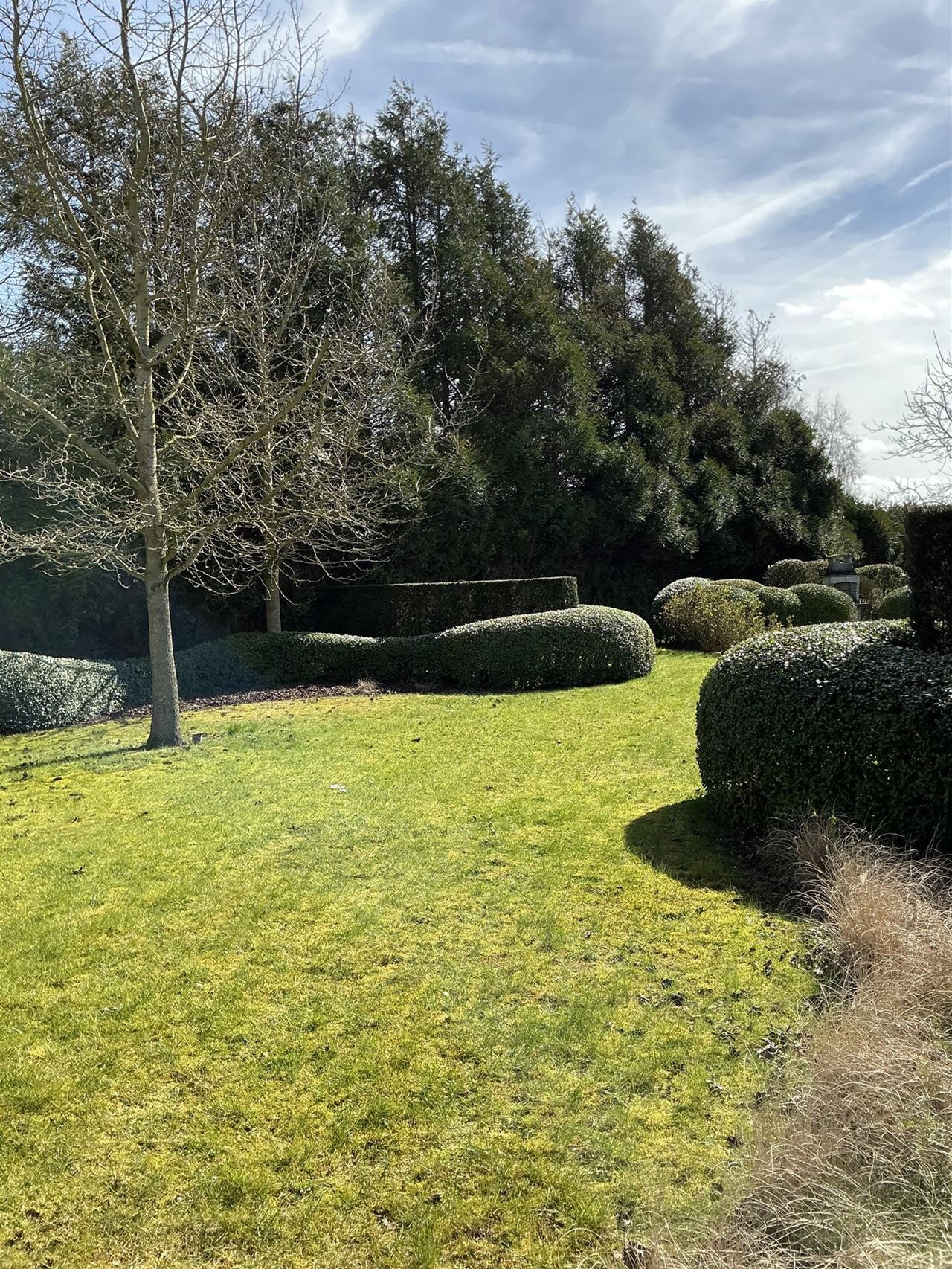 Ruime, iets oudere, bungalow op een perceel van 2426m²