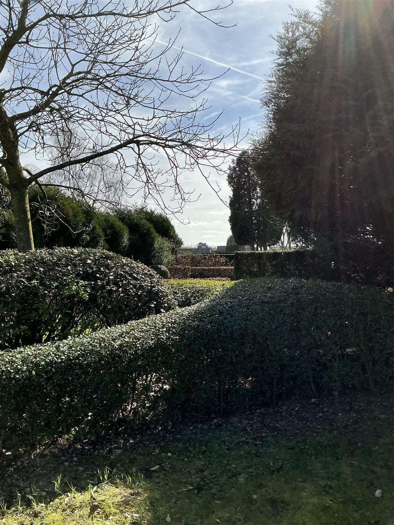 Ruime, iets oudere, bungalow op een perceel van 2426m²