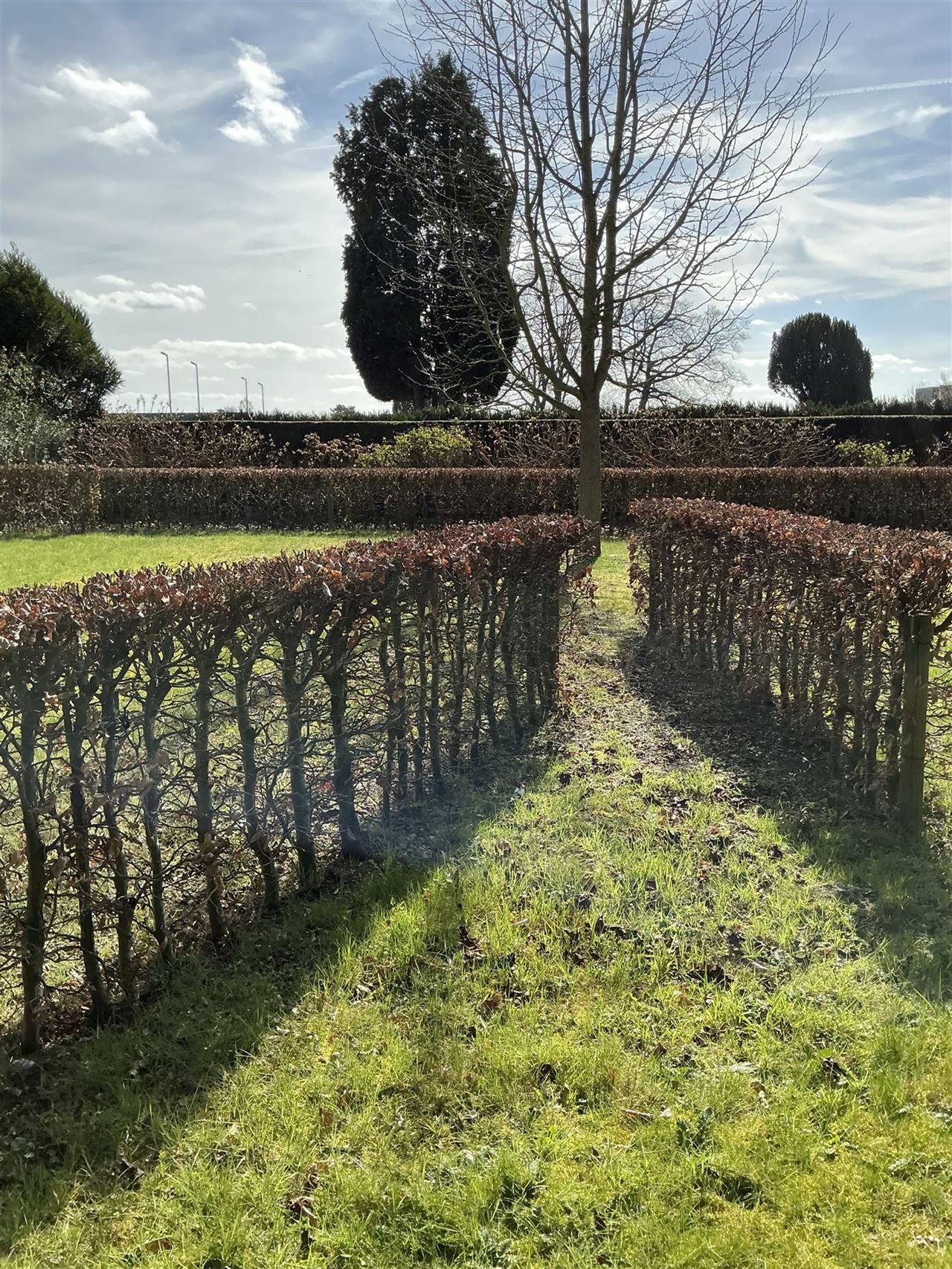 Ruime, iets oudere, bungalow op een perceel van 2426m²