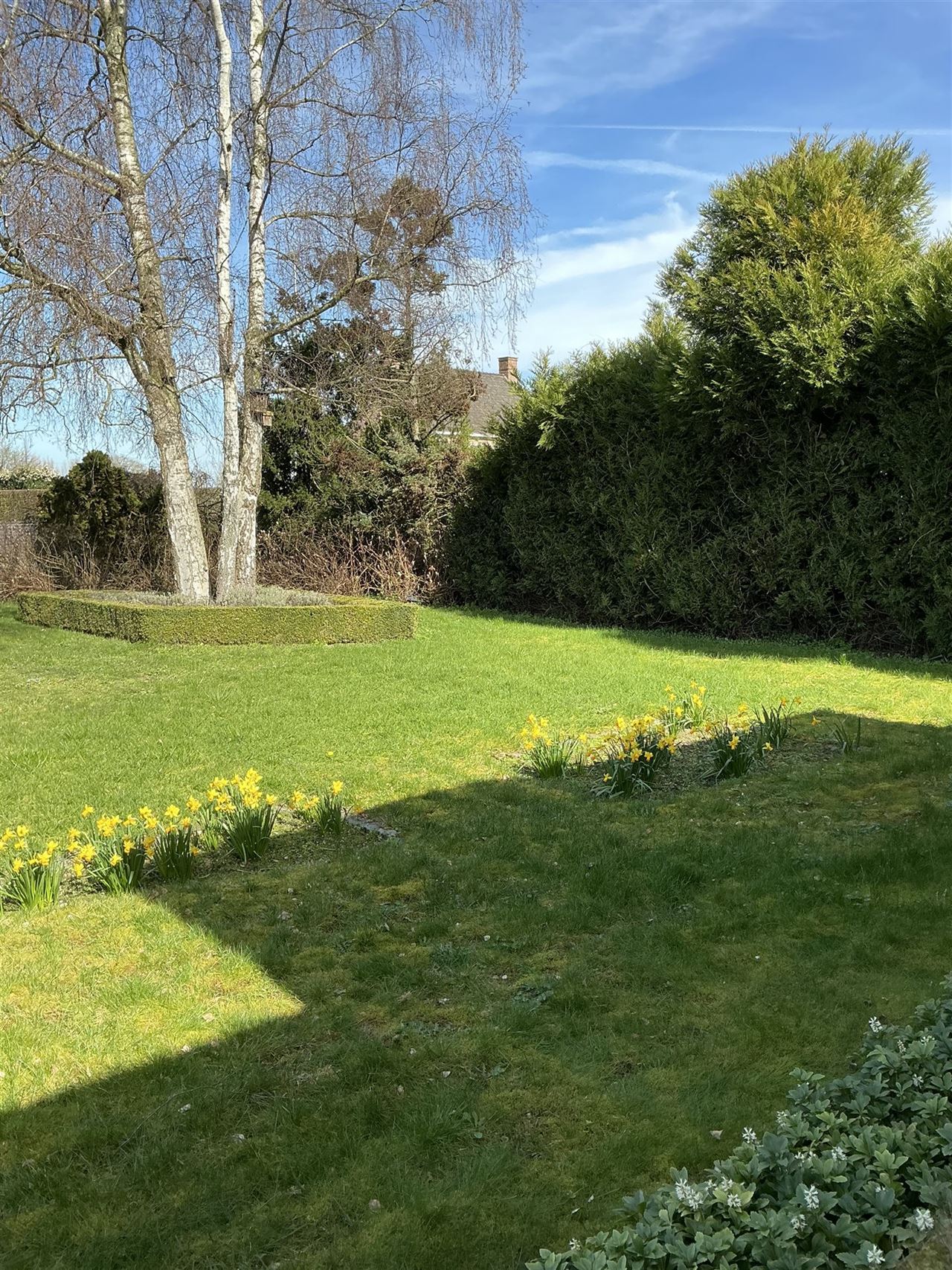 Ruime, iets oudere, bungalow op een perceel van 2426m²