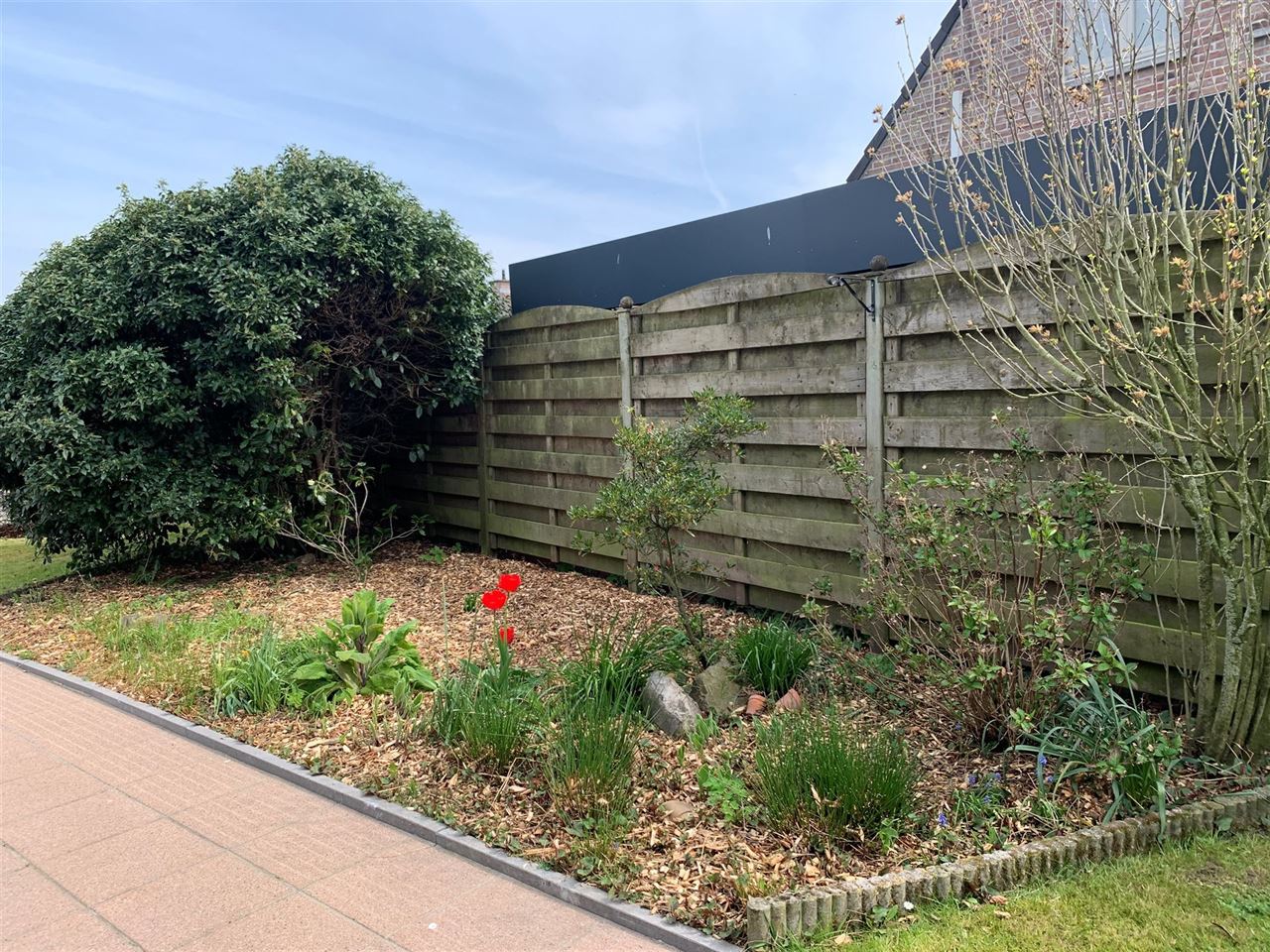 Open bebouwing met mooie tuin in landelijke omgeving