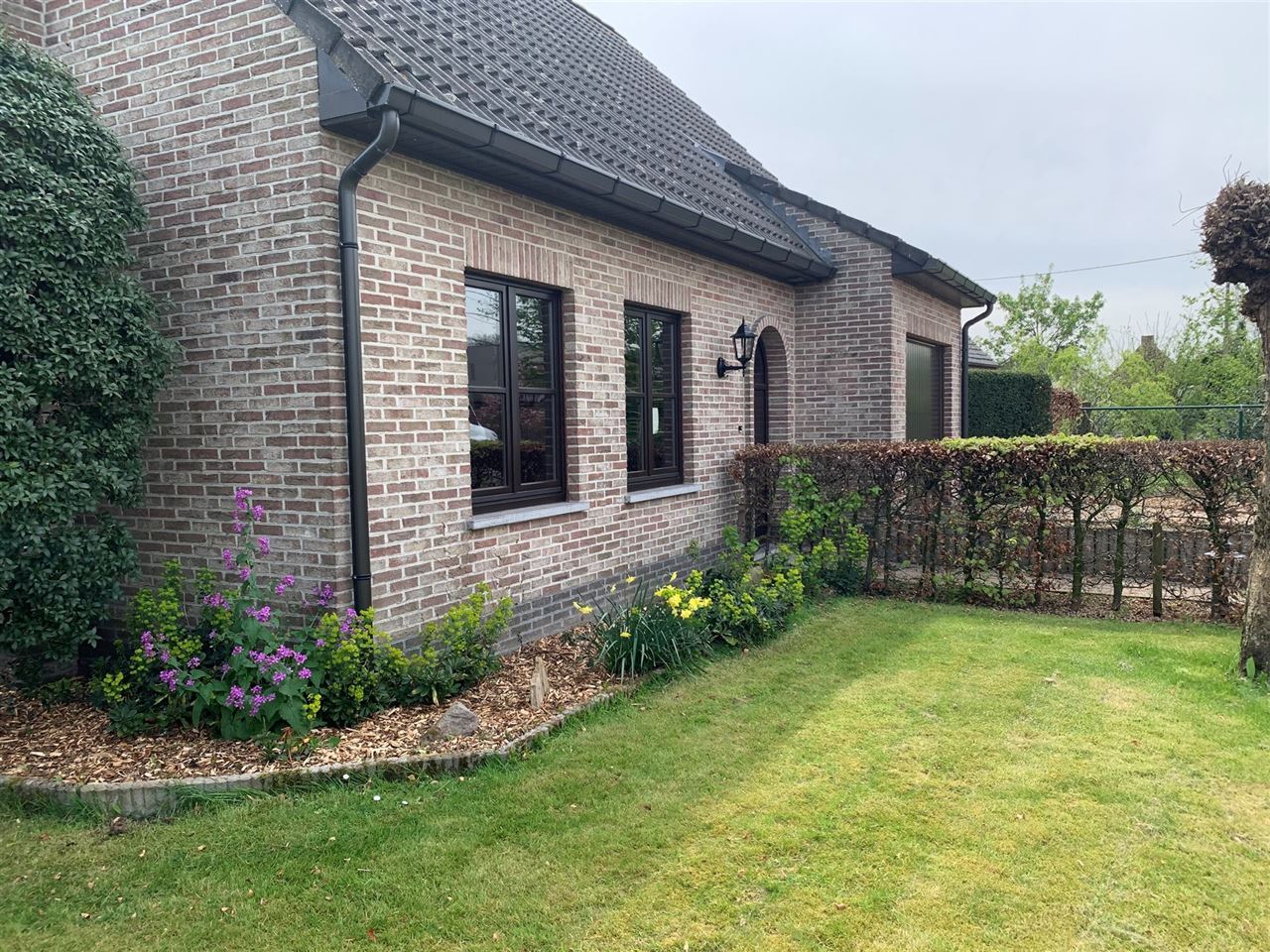 Open bebouwing met mooie tuin in landelijke omgeving