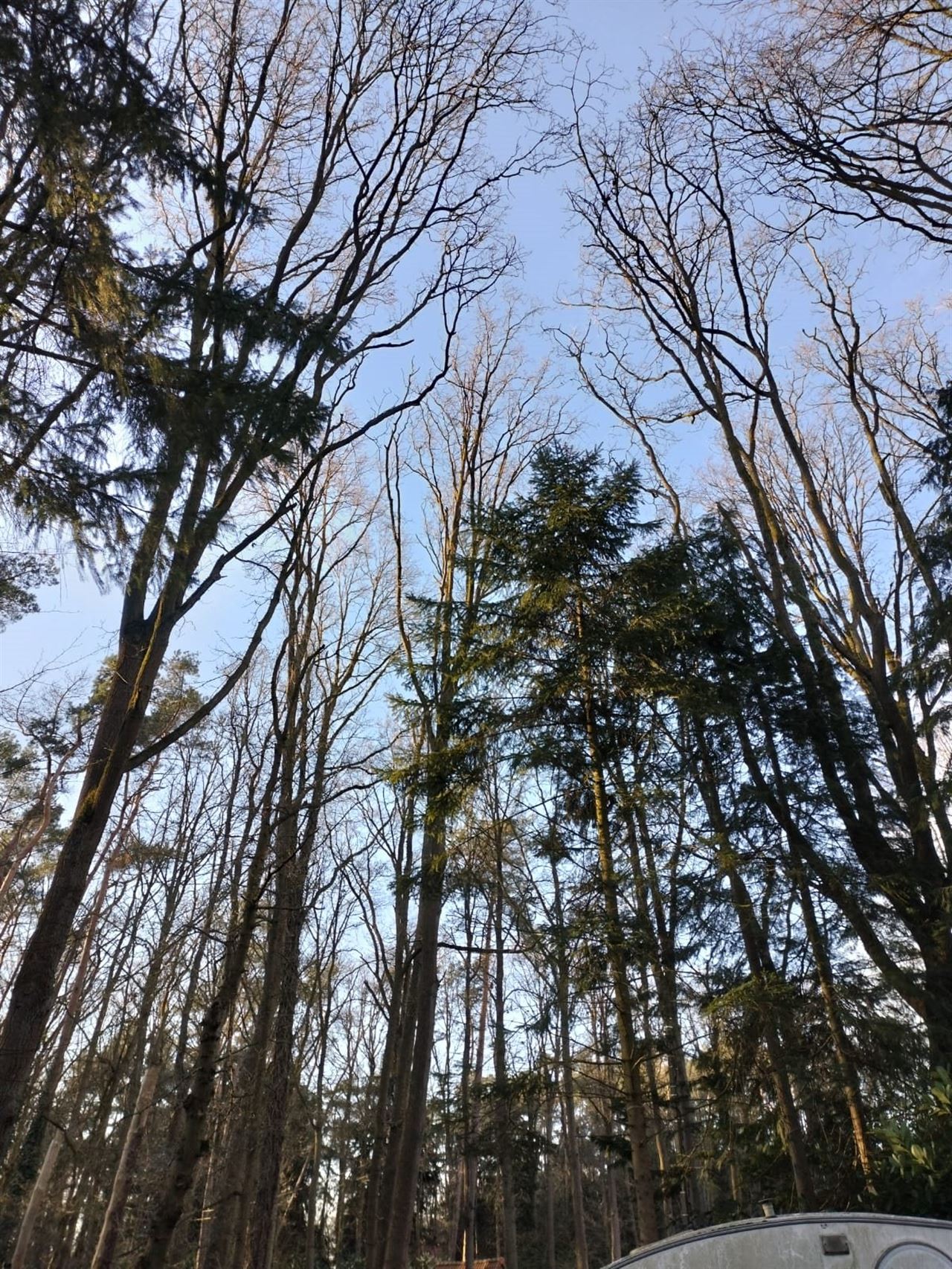 2de verblijf. Tiny, sobere maar gezellige chalet in het bos