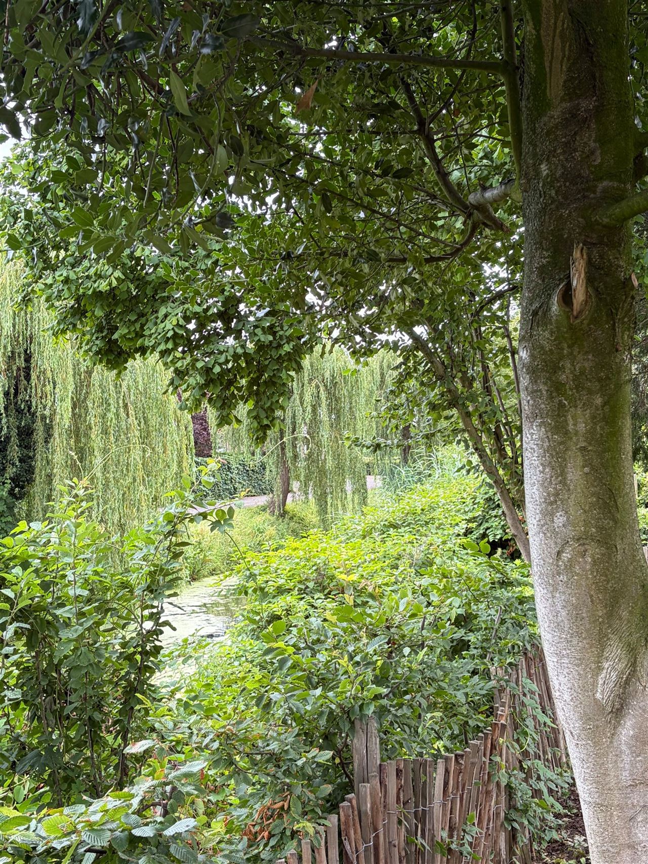 Vernieuwde woning met tuin en 4 slaapkamers