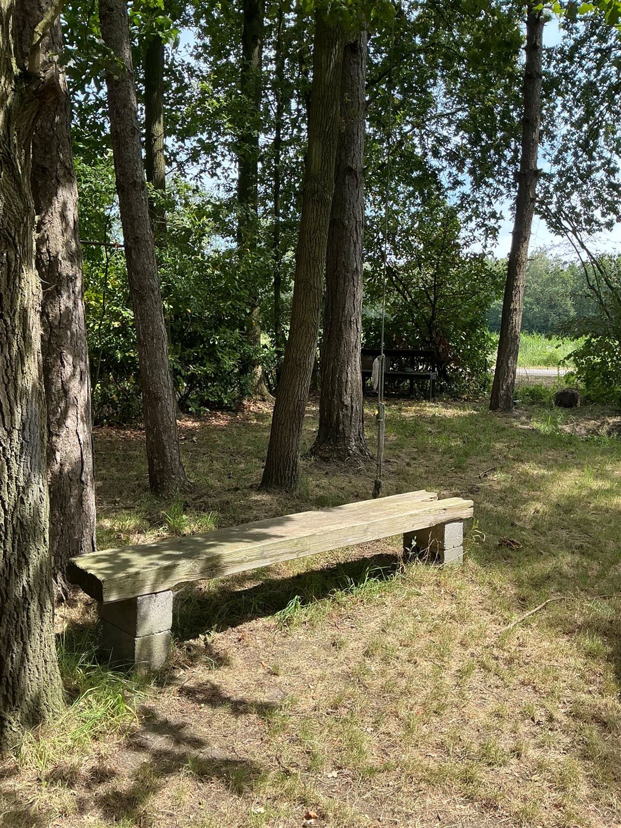 Houten chalet gelegen in het bos te Stekene - 2de verblijf
