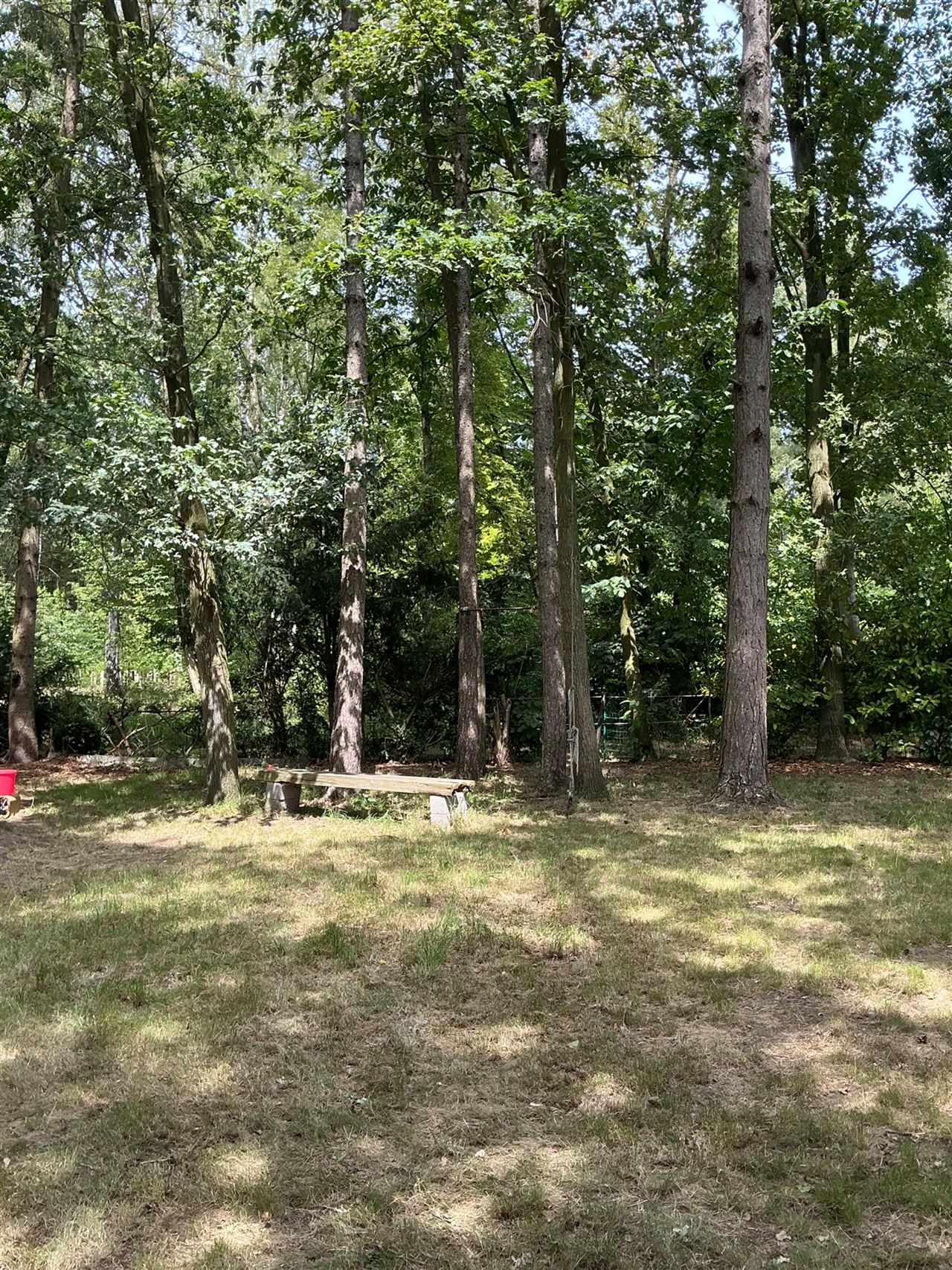 Houten chalet gelegen in het bos te Stekene - 2de verblijf