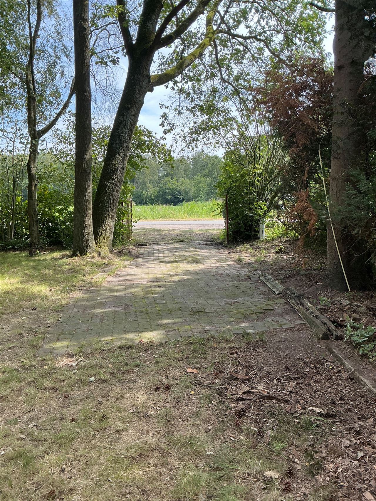 Houten chalet gelegen in het bos te Stekene - 2de verblijf