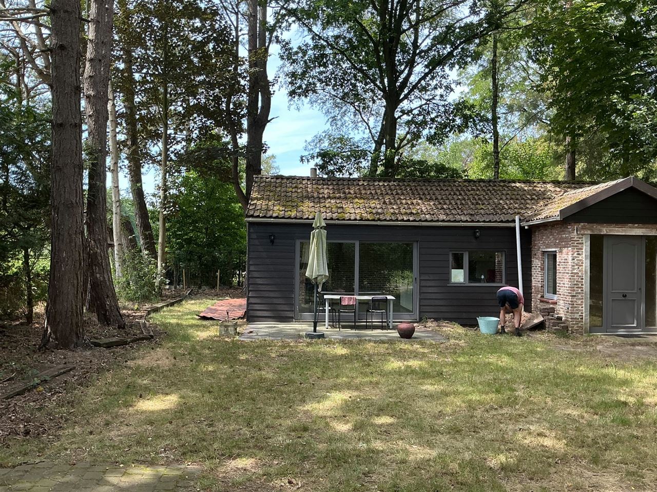 Houten chalet gelegen in het bos te Stekene - 2de verblijf