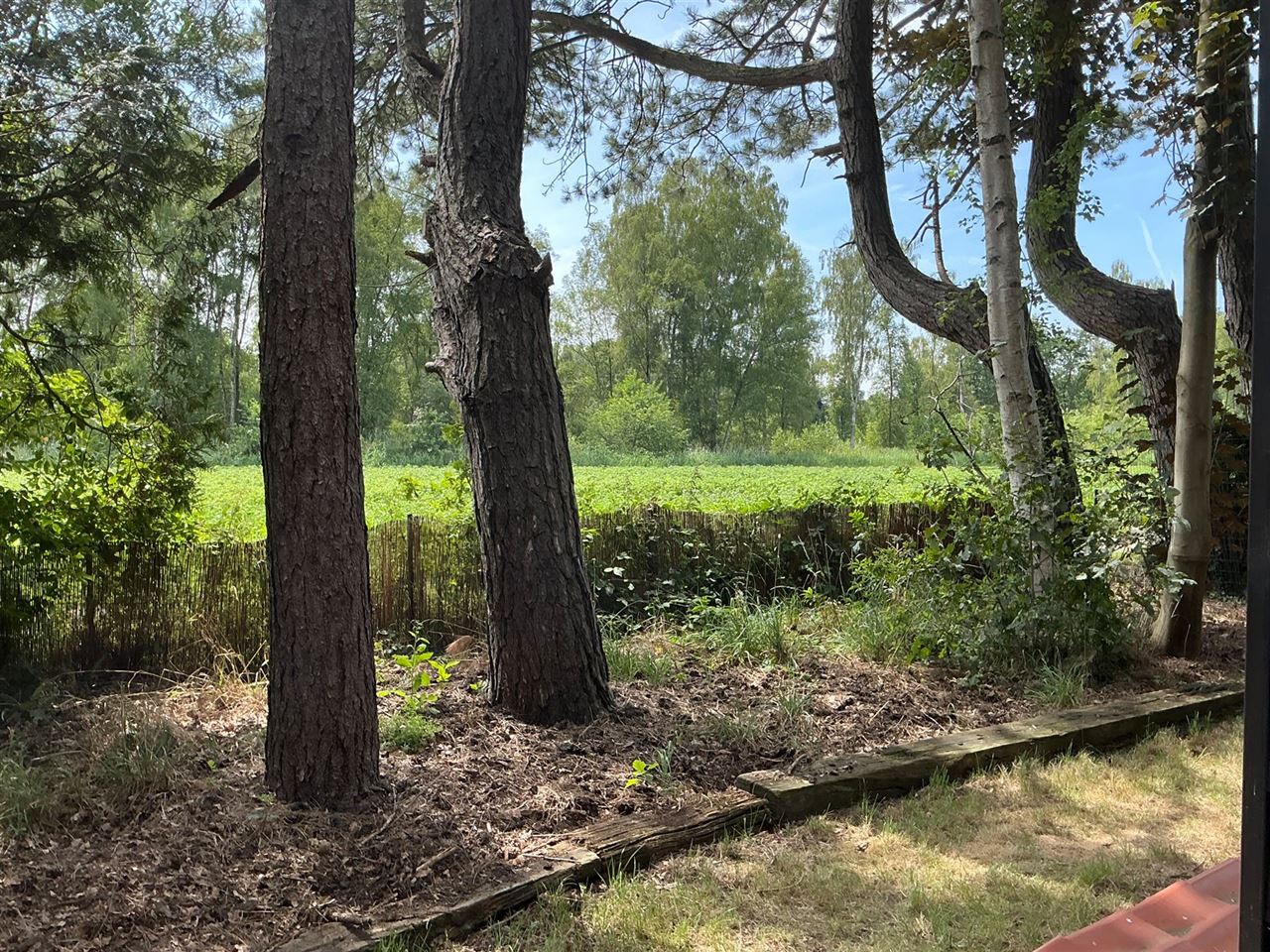 Houten chalet gelegen in het bos te Stekene - 2de verblijf