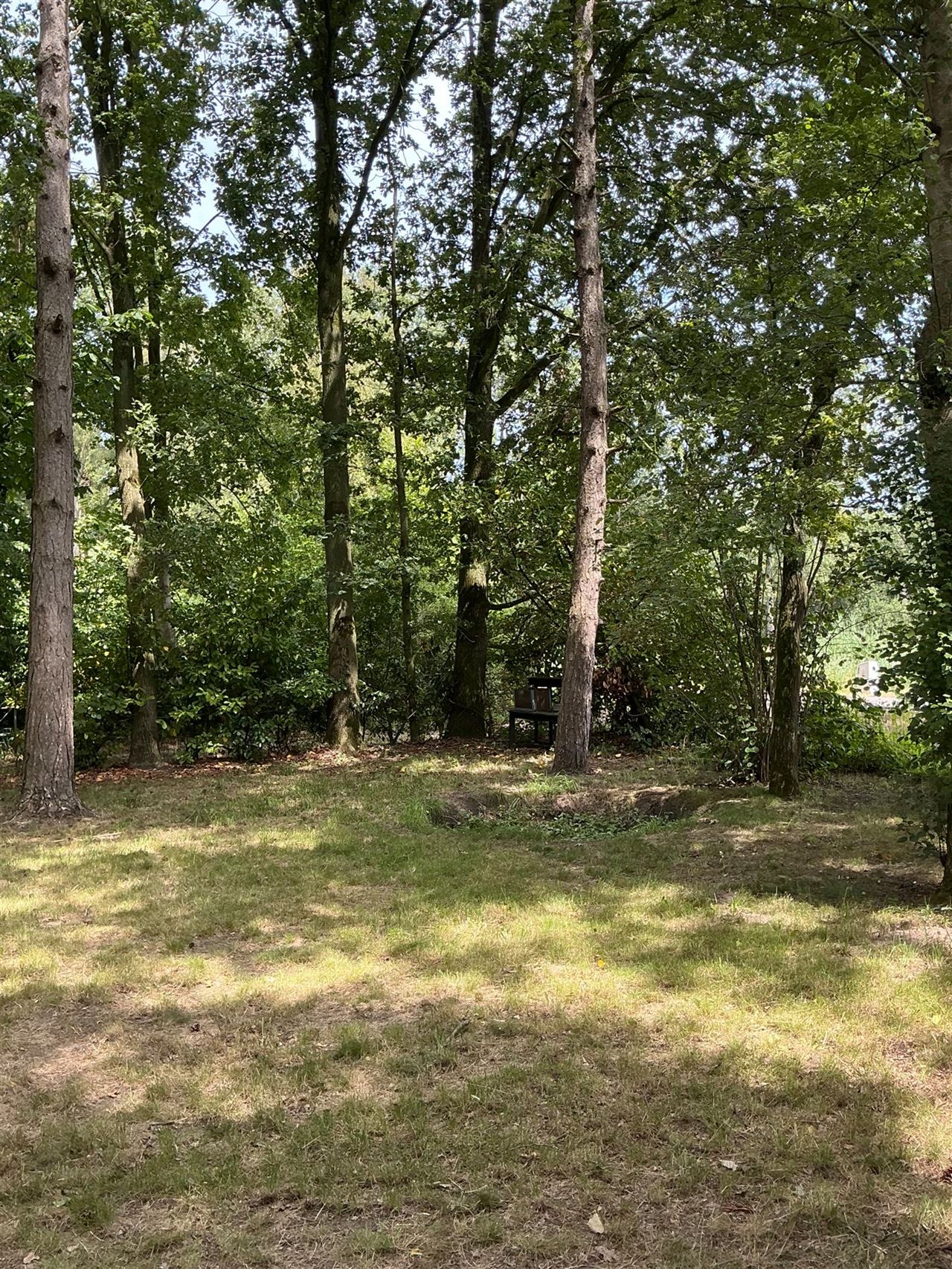 Houten chalet gelegen in het bos te Stekene - 2de verblijf