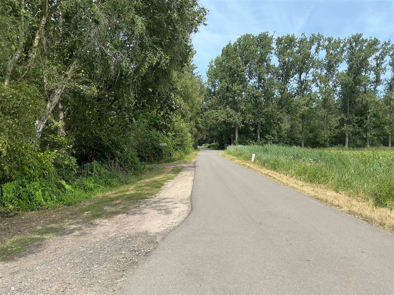 Houten chalet gelegen in het bos te Stekene - 2de verblijf
