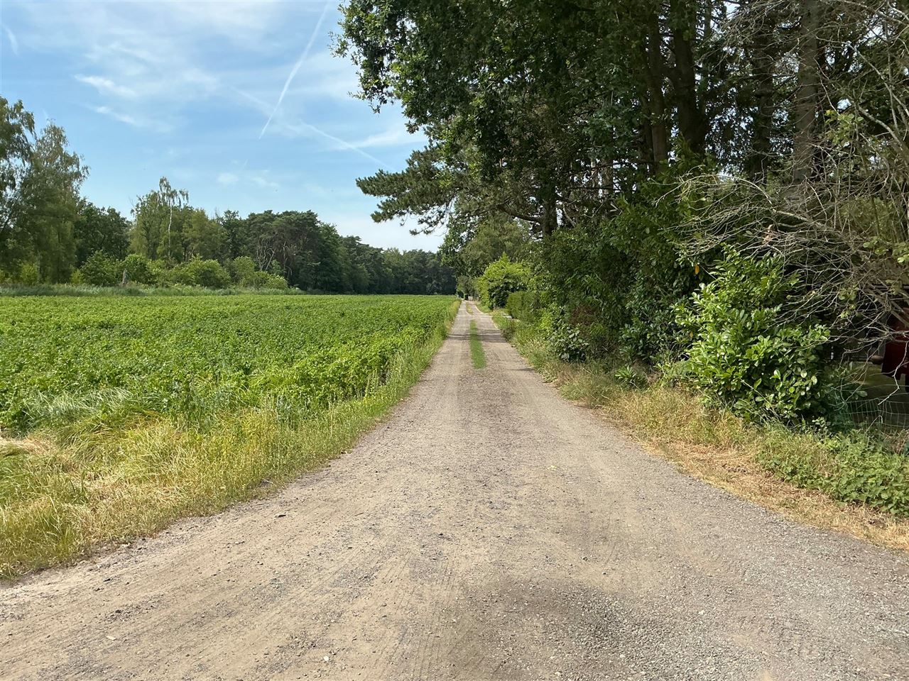 Houten chalet gelegen in het bos te Stekene - 2de verblijf