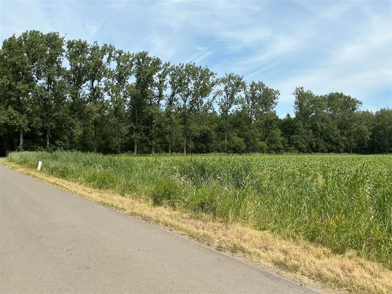 Houten chalet gelegen in het bos te Stekene - 2de verblijf