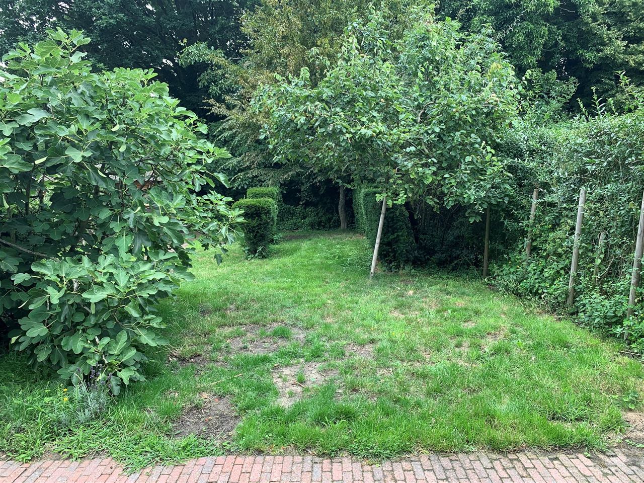Charmant huis met 2 slaapkamers, tuin en carport.