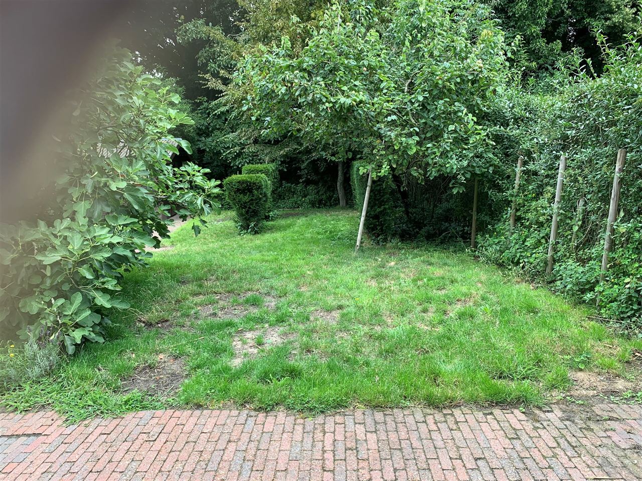 Charmant huis met 2 slaapkamers, tuin en carport.