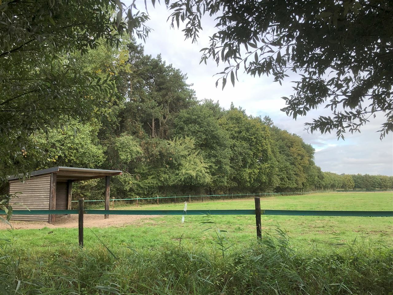 2 percelen grond (BOS EN WEILAND) te Moerbeke-Waas