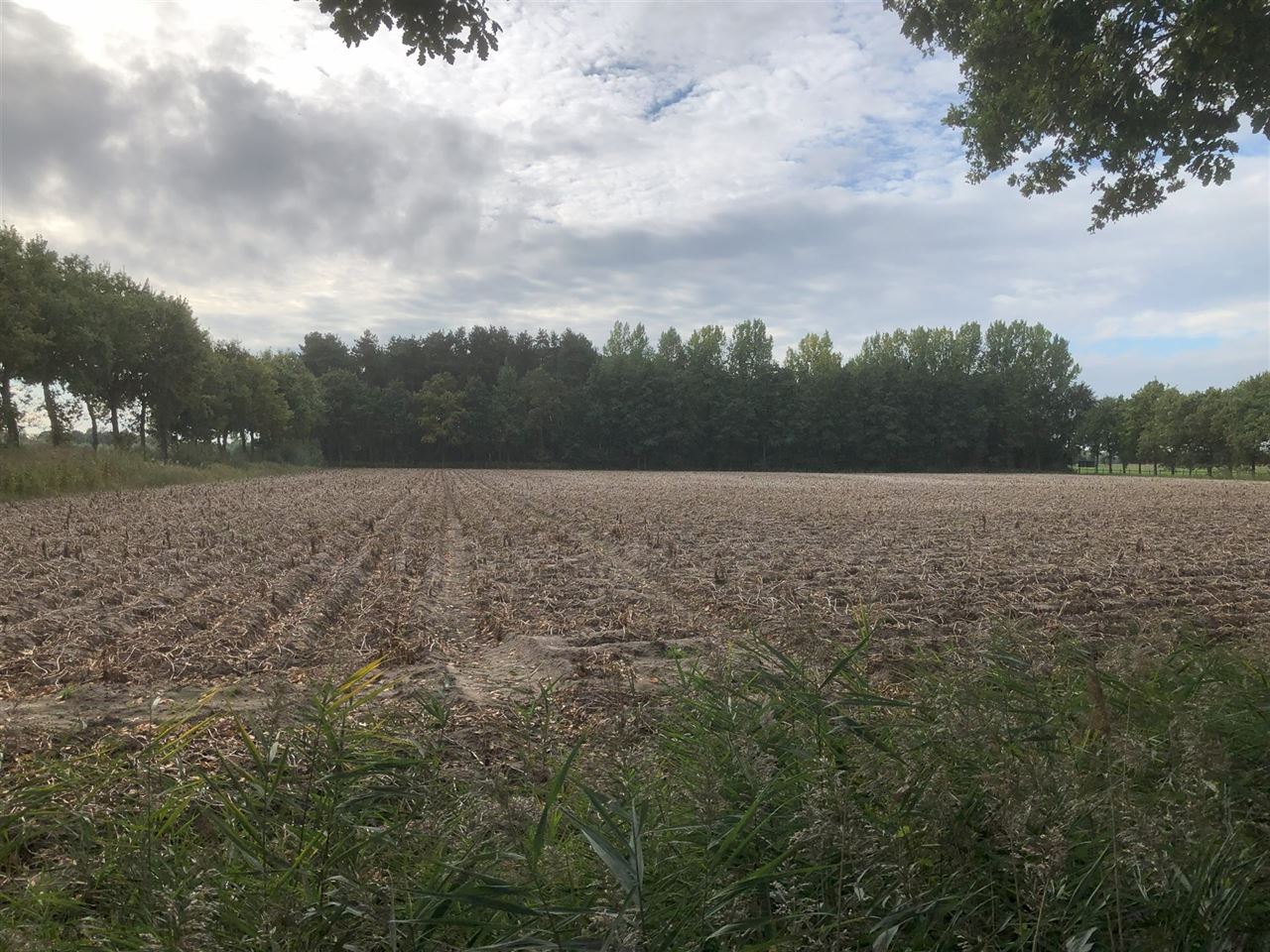 2 percelen grond (BOS EN WEILAND) te Moerbeke-Waas