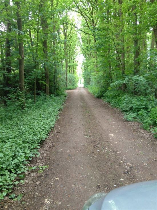 Landhuis met private weg op domein van bijna 2 hectare.